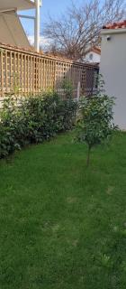 The Kumquat Place - 4