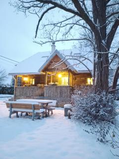 Cozy wooden house Robinia - 2