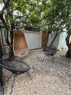 Camping Yellow Plum - 3