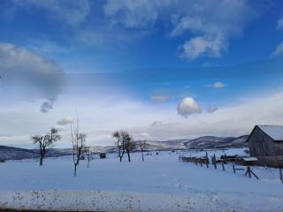 Cozy wooden house Robinia - 6