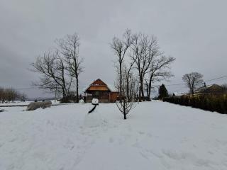 Cozy wooden house Robinia - 7