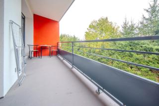 Very nice apartment near Basel, private parking, WiFi - 1