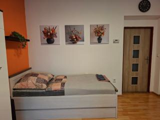 Ubytování Teplice - 8