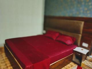 Hotel Madhuban Hills - 1