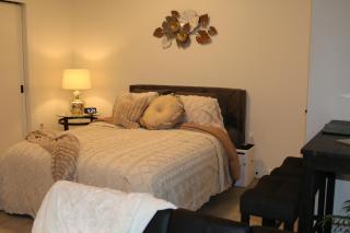 Downtown Detroit Apt - 5