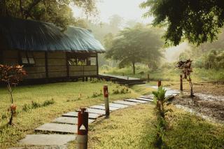 The Forest Elephant - Formerly known as the Flying Elephant - Havelock Island - 8