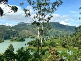 Golden Waters Stay & Dine - 4