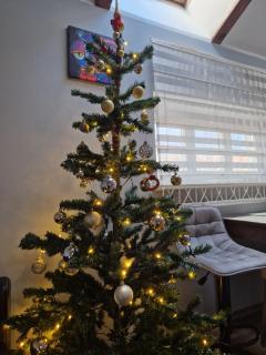 Jaukus butas senamiestyje - 0