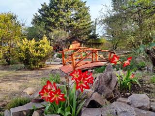 Suspiro de Montaña - 2