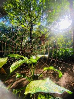 Zensigiri Ayurveda Wellness Homestay - 7