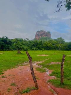 Zensigiri Ayurveda Wellness Homestay - 8