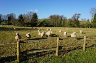 The Byre at Mill Farm Farlow - 1