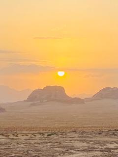 سفينة الصحراء وادي رم - 0