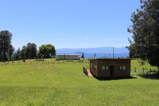 Amanecer del Ranco - 8