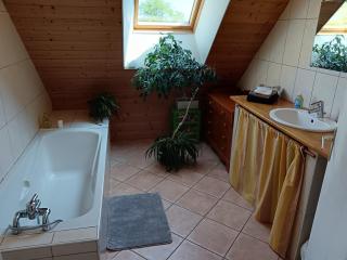 Chambre calme et verdure - 6