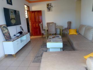 Luxi living spacious and modern apartment - 1