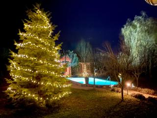 Patrimonium Wellness Apartments - 8