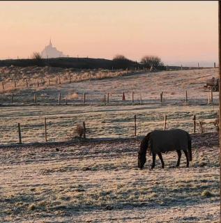Gite du mont saint michel - 3