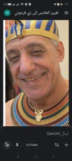 Homestay - Le Caire - 8