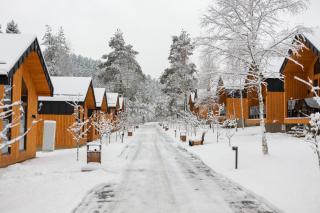 Phoenix Medical Resort - 9