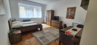 Downtown Studio Apartman - 6