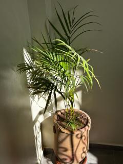 taghoba surf house - 2