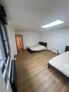 106 route de Mittelhausbergen - 8