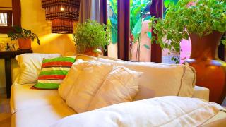 Casa Cacau, Trancoso, ao lado do Quadrado - 2