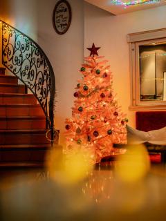 ROESLI Guest House - 5