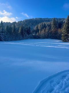 FeWo Alpenherz im Allgäu, mit Balkon und Bergblick - 5