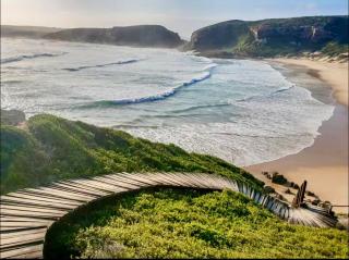 Chameleon Gardens - Dschungel - 7