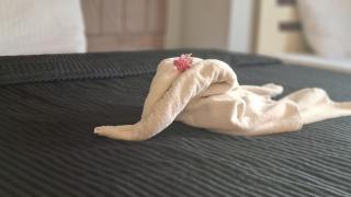 The Lotus Hotel Pyramids View - 7