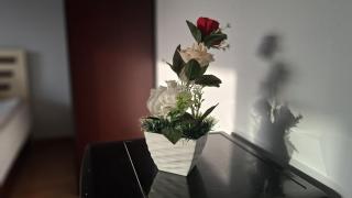 The Lotus Hotel Pyramids View - 8