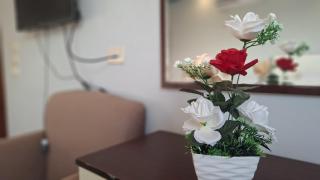 The Lotus Hotel Pyramids View - 9