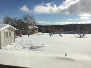 Ferienwohnung Ostwind - 0