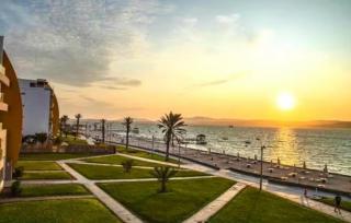 ooo OCEAN VIEW APARTMENT PARACAS SOTAVENTO ooo - 0