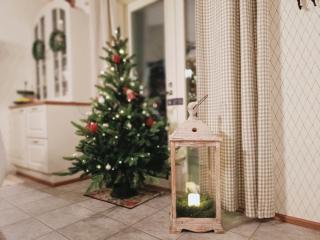 Red wooden house in Rovaniemi - 9