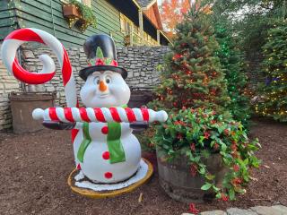 Swan's Woodland Getaway Condo - 9