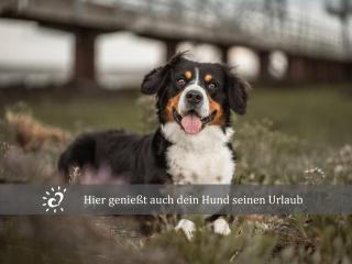 Ferienwohnung de Kleev - 1