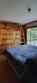 Casa Selva Valdiviana - 6