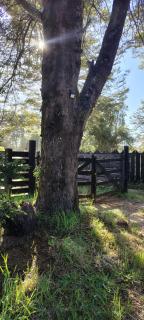 Casa Selva Valdiviana - 2