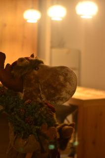 KooKai - Luxury Living - 8