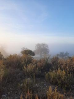 Duplex LLORACH I - 6