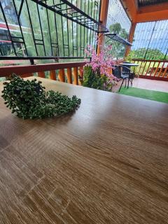 The Carnival Residence at Queens Park Savannah - 8