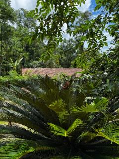 Casa Okê Paraty - 1