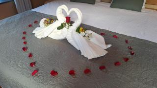 Le Clos du Cerf - Silence & nature - 9