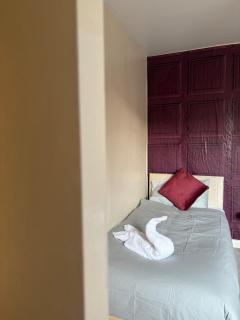 Estokova central haven sleeps up to 9 - Free parking - 3