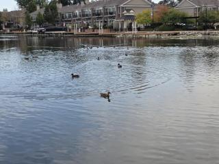 The Riverwalk Retreat on the Fox Waterfront Vacation Rental in Downtown McHenry 3BR 2BA Home with Private Pier - 4