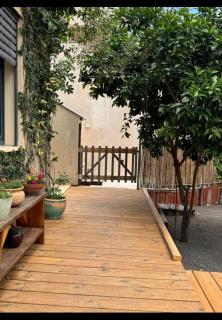 מתחת לעץ התות בכפר - 7