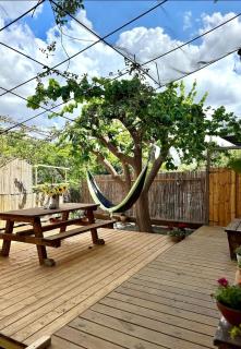 מתחת לעץ התות בכפר - 5